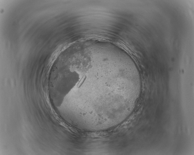 X0000072970241200608111723