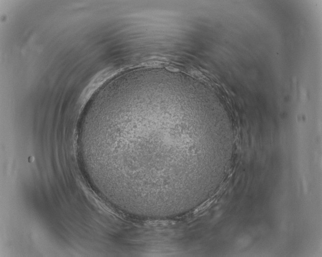 X0000072970242200608111723