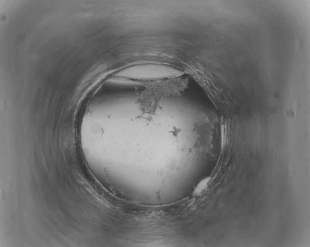 X0000072970243200608111723