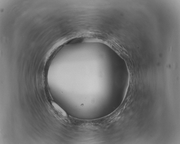 X0000072970244200608111723