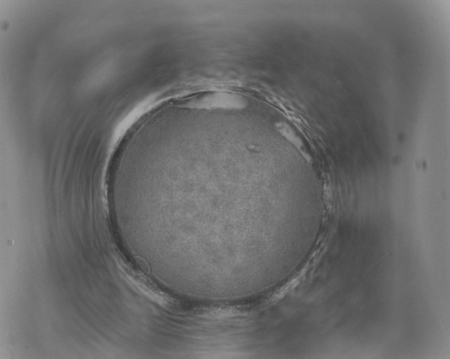 X0000072970246200608111723