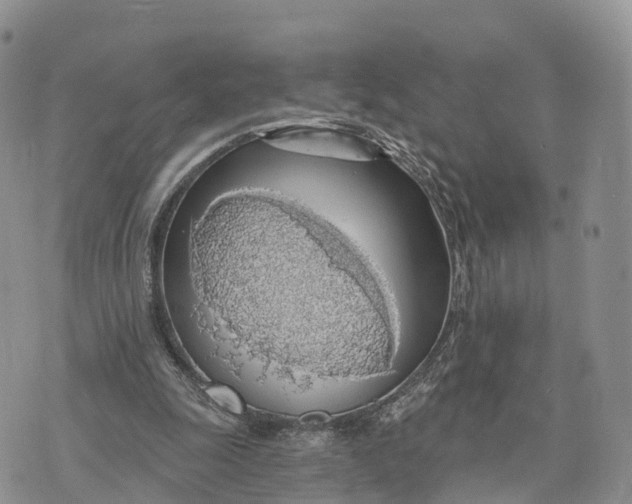 X0000072970247200608111723