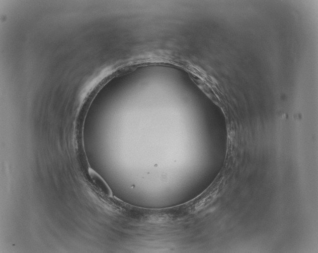 X0000072970248200608111723