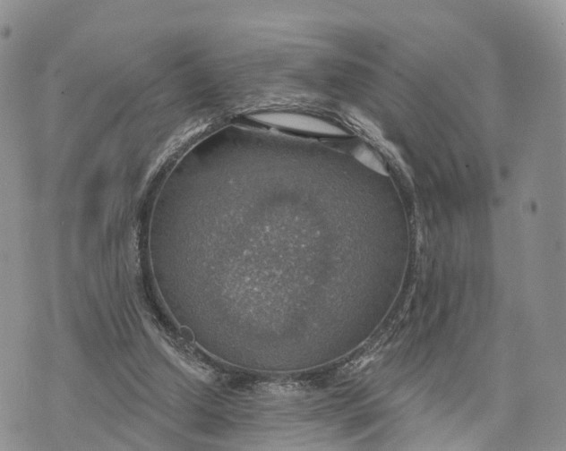 X0000072970250200608111723