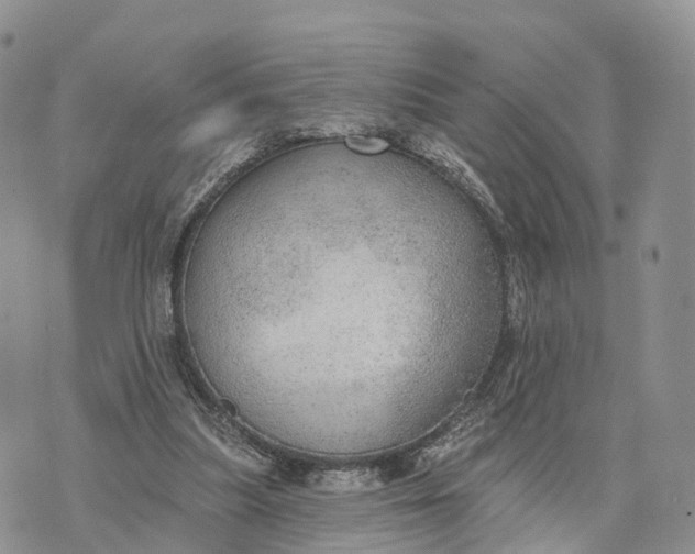 X0000072970251200608111723