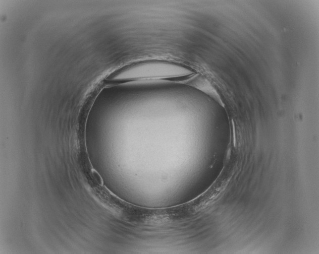 X0000072970252200608111723