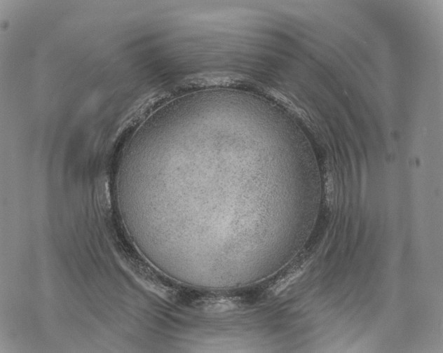 X0000072970254200608111723