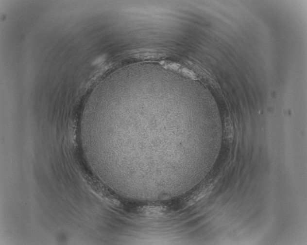 X0000072970255200608111723