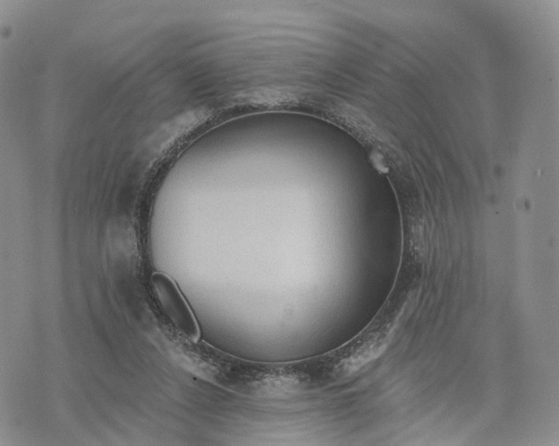 X0000072970256200608111723