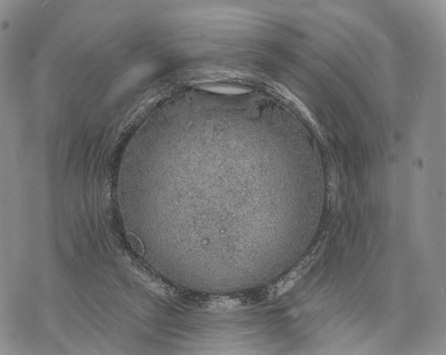 X0000072970257200608111723