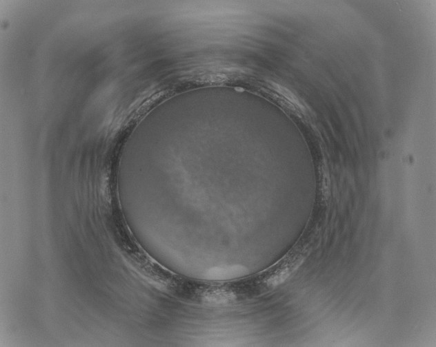 X0000072970258200608111723