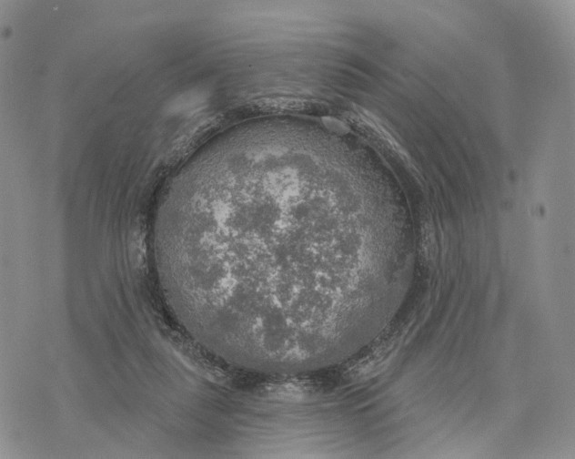 X0000072970259200608111723