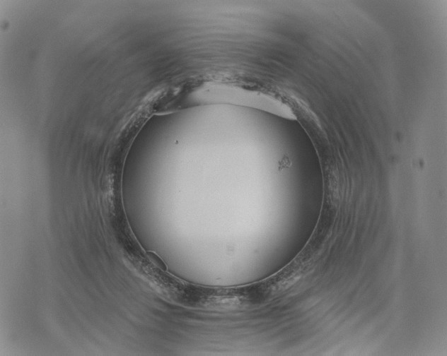 X0000072970260200608111723