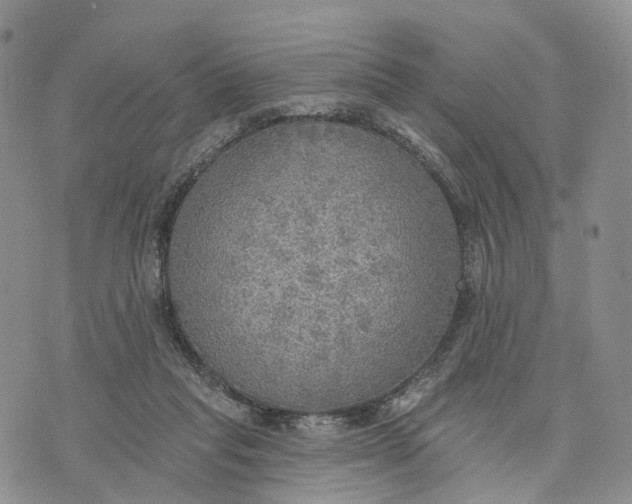 X0000072970261200608111723