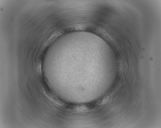 X0000072970262200608111723