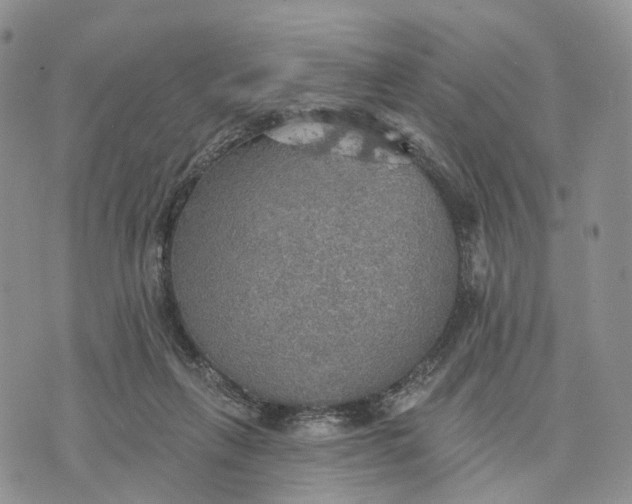 X0000072970263200608111723