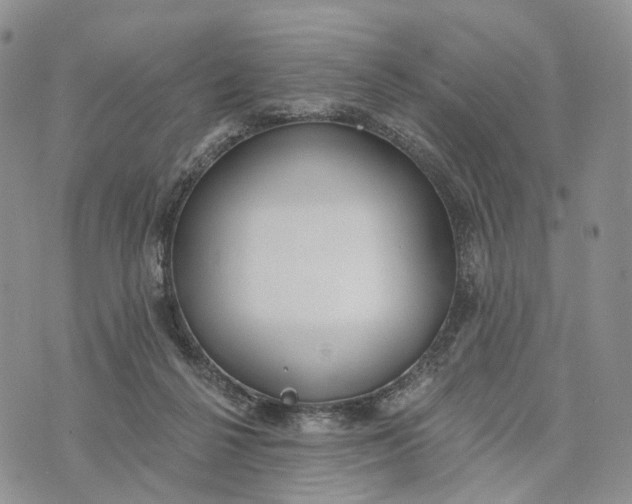 X0000072970264200608111723