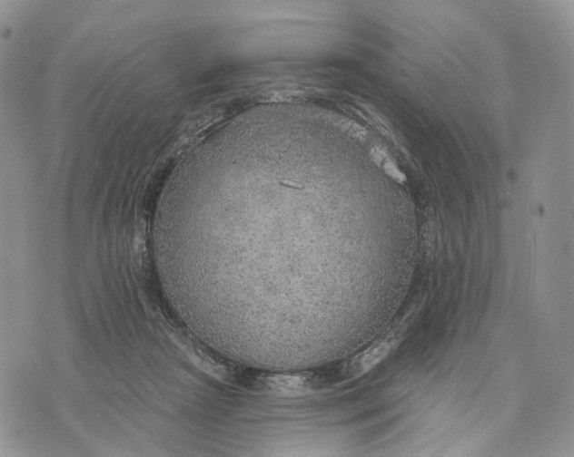 X0000072970265200608111723