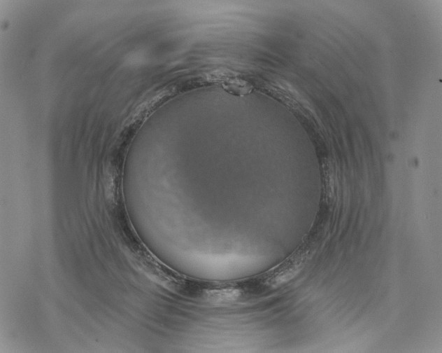 X0000072970266200608111723