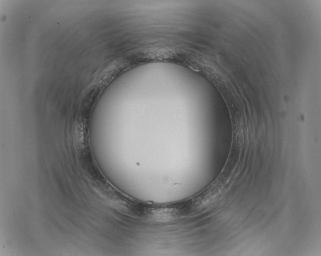 X0000072970268200608111723