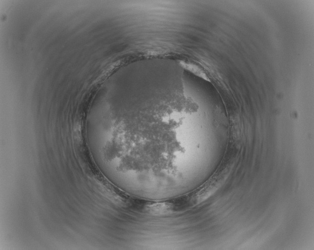 X0000072970269200608111724