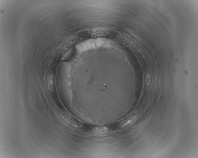 X0000072970271200608111724