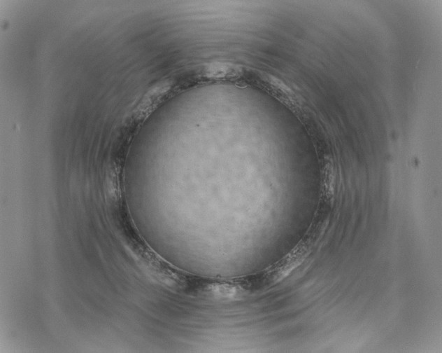 X0000072970272200608111724