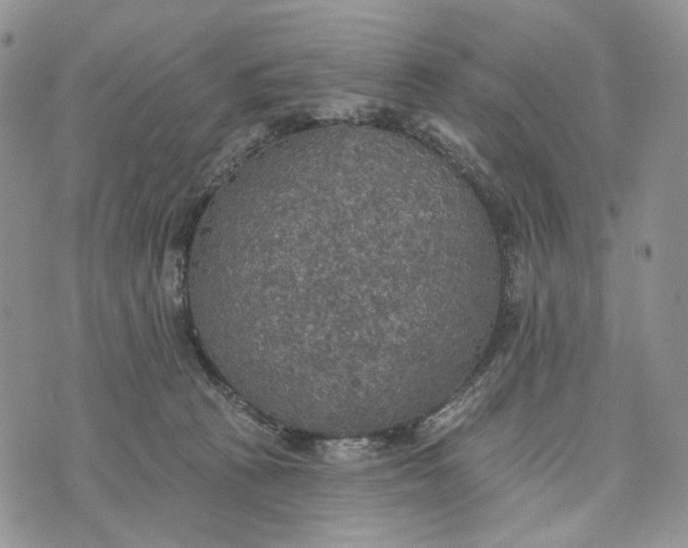 X0000072970273200608111724