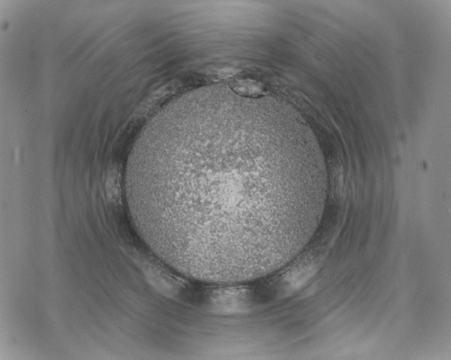 X0000072970274200608111724