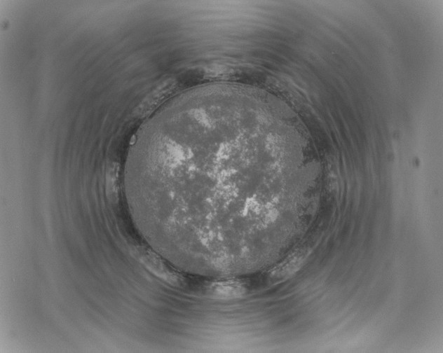 X0000072970275200608111724