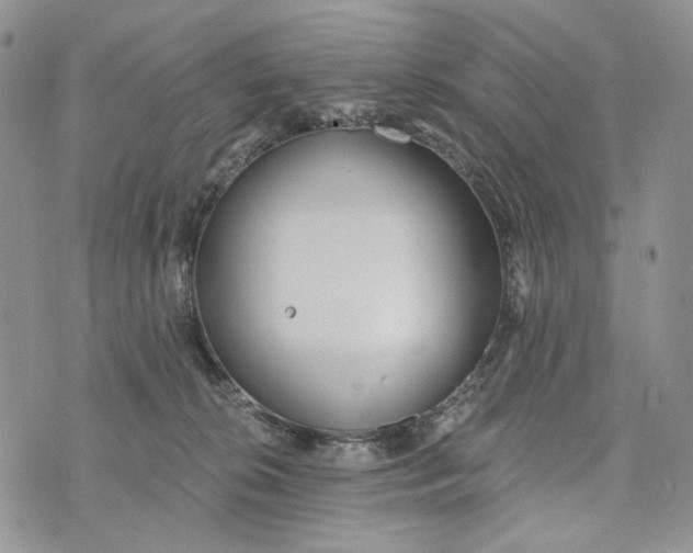 X0000072970276200608111724