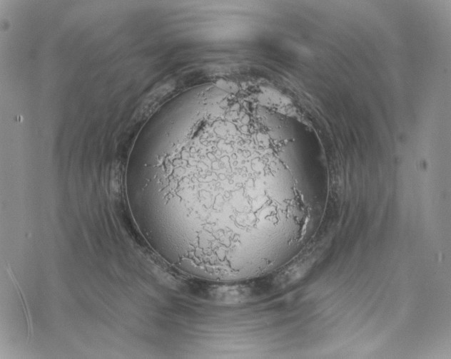 X0000072970277200608111724