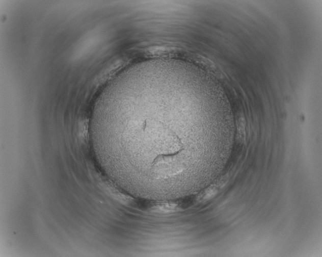 X0000072970278200608111724