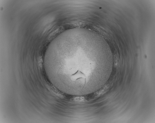 X0000072970279200608111724