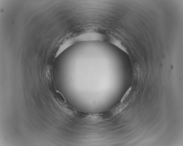 X0000072970280200608111724