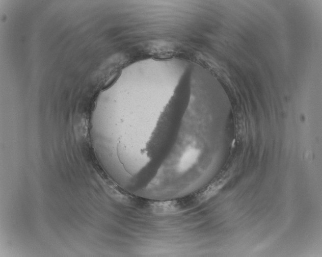 X0000072970281200608111724