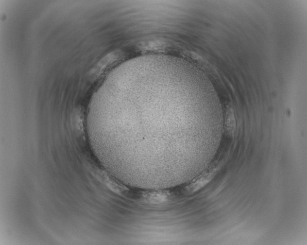 X0000072970282200608111724