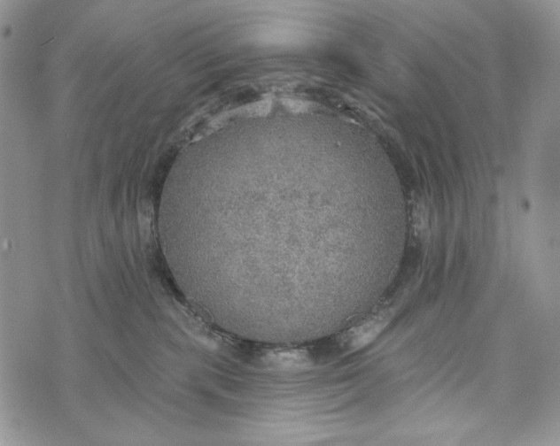 X0000072970283200608111724