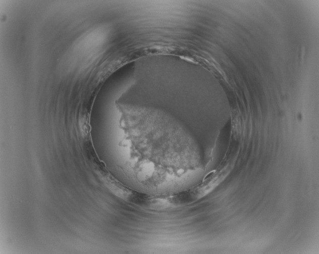 X0000072970285200608111724