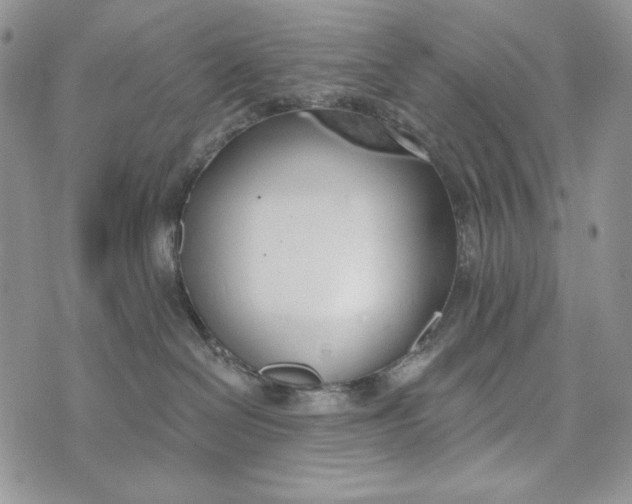 X0000072970286200608111724