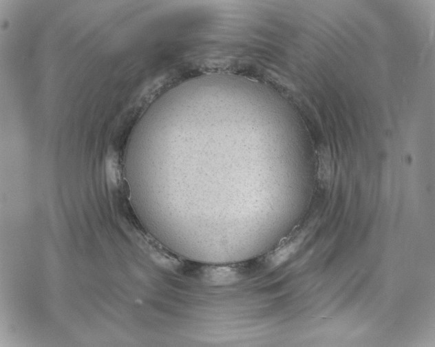 X0000072970287200608111724