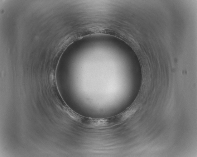 X0000072970288200608111724