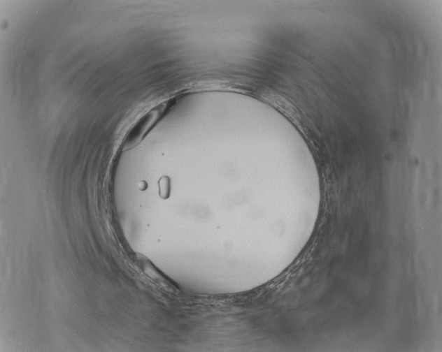 X0000072970289200608111723