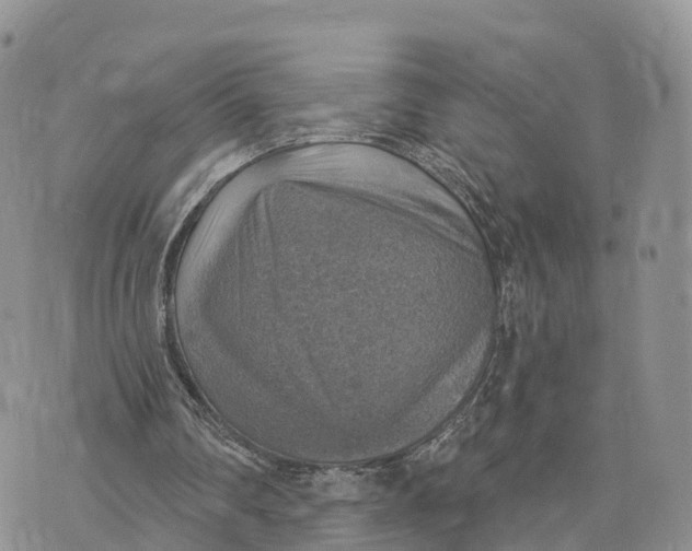 X0000072970290200608111723