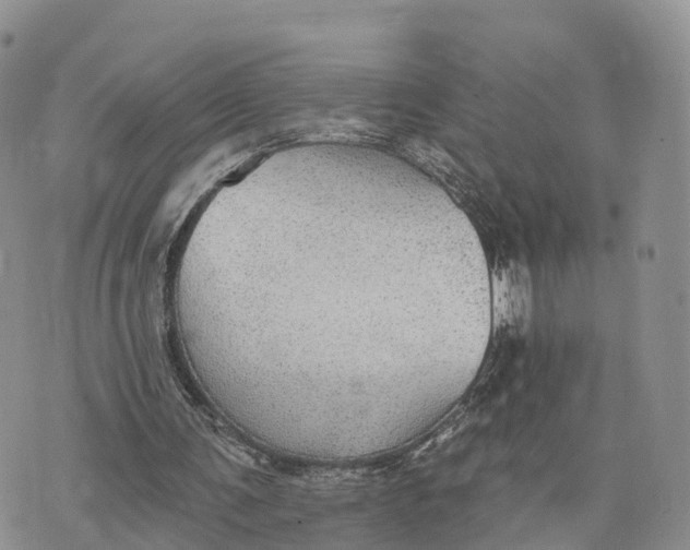 X0000072970291200608111723