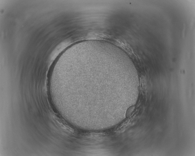 X0000072970292200608111723