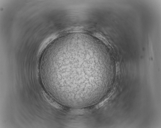 X0000072970293200608111723