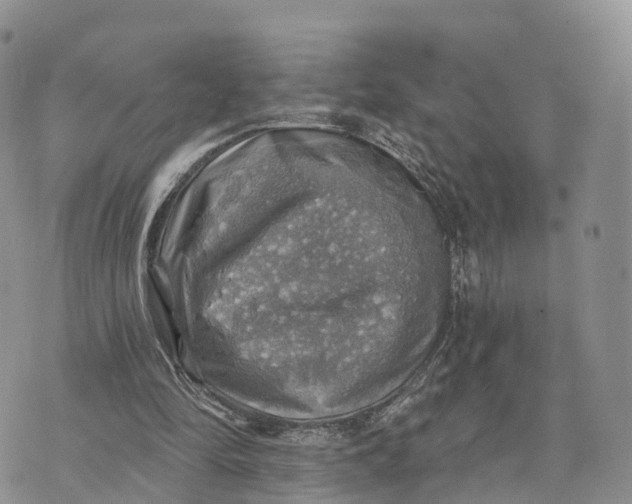 X0000072970294200608111723