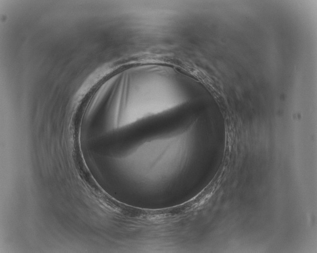 X0000072970295200608111723