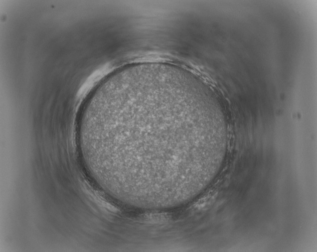 X0000072970296200608111723